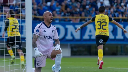 Los 3 refuerzos que busca Millonarios tras fracasar en la Sudamericana Millonarios fracaso