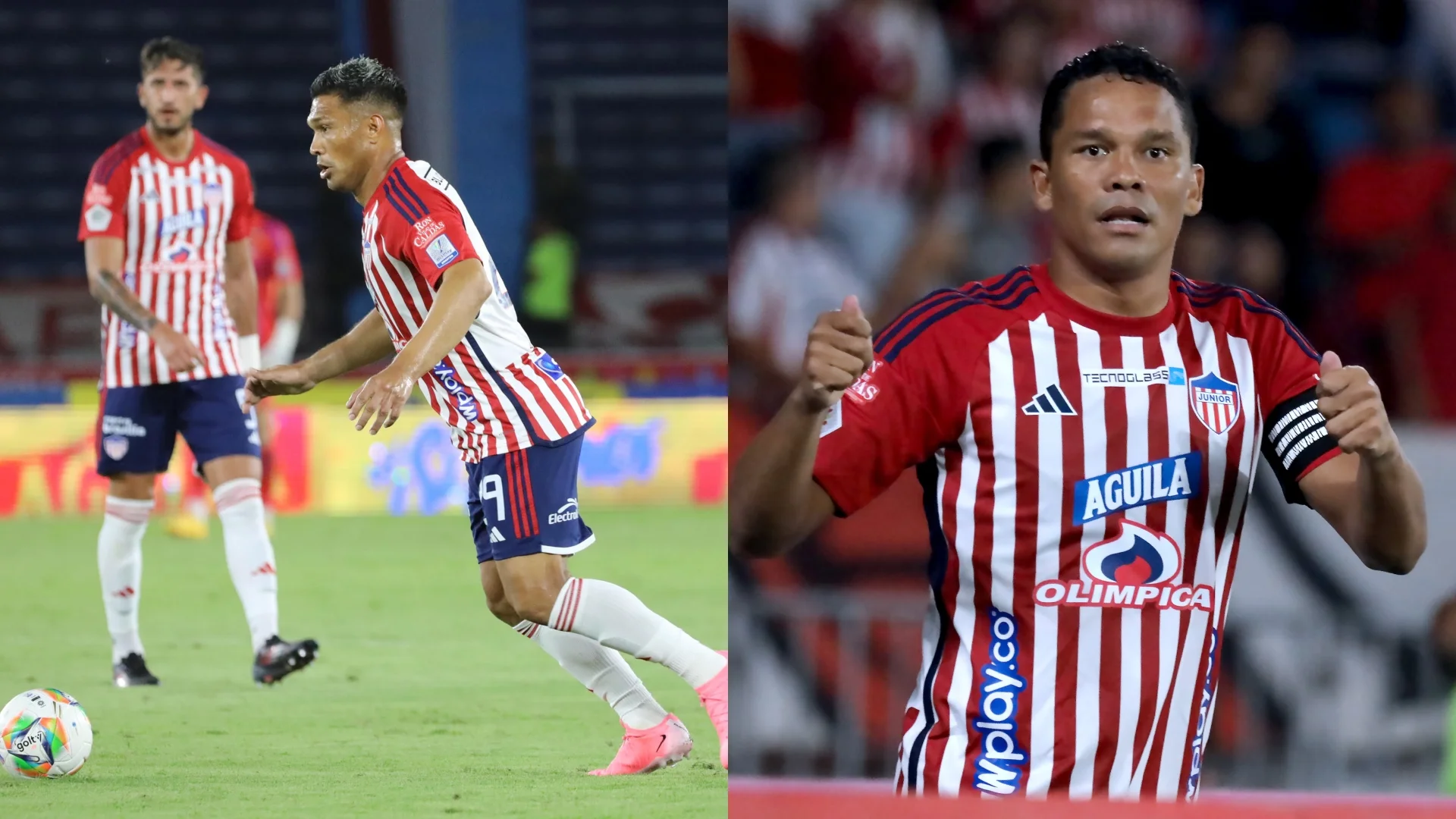 Teo y Bacca Junior