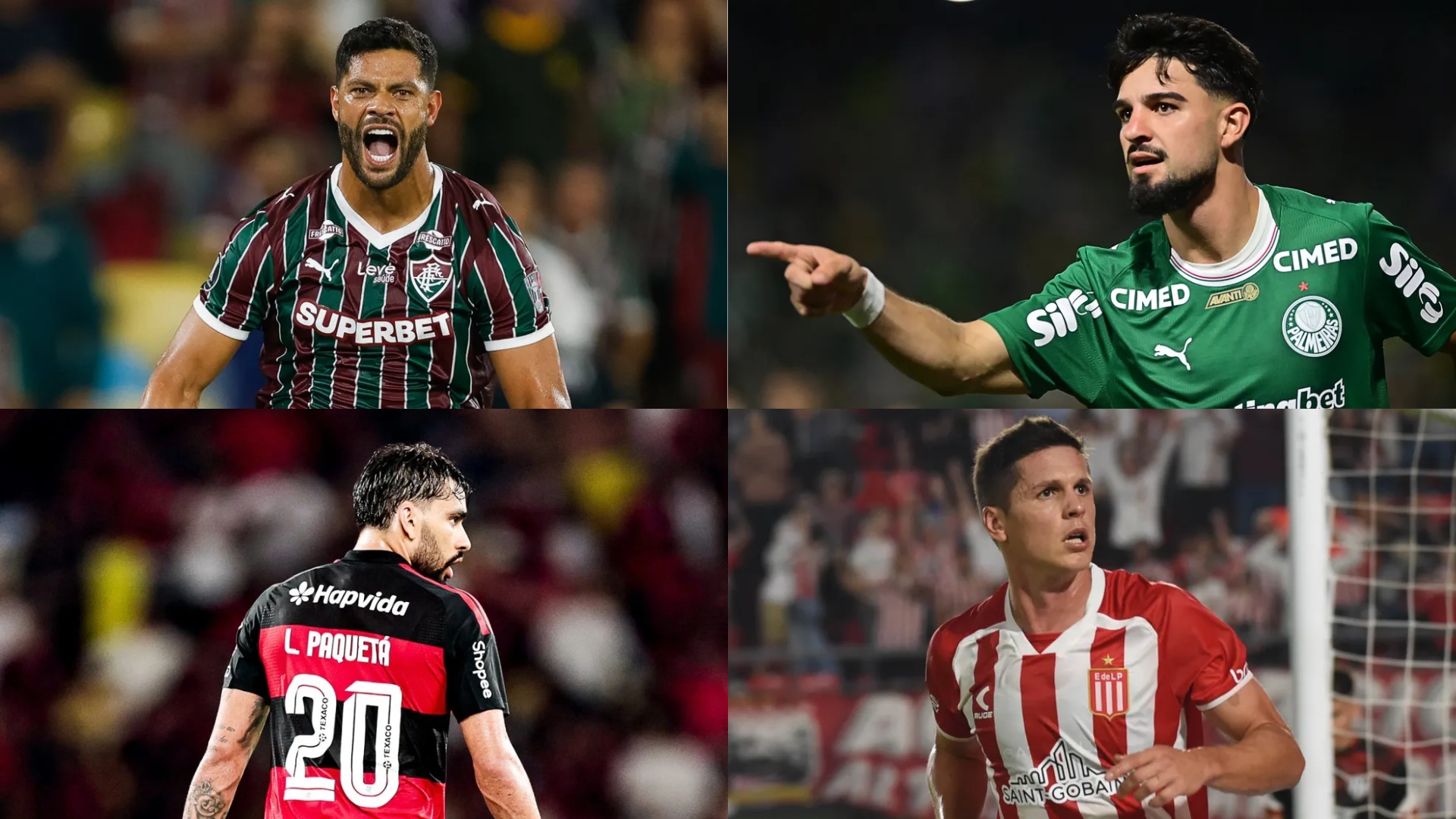 Finalistas Copa Libertadores 2026